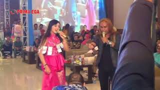 Download lagu Jihan Audy - Istimewa terbaru full saweran mp3 Download lagu Jihan Audy - Istimewa terbaru full saweran mp3