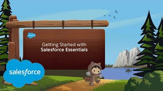 How to Set Up Salesforce Knowledge?