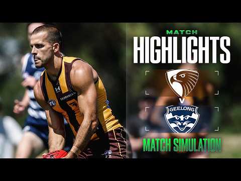 Hawthorn v Geelong Cats Highlights | Match Simulation, 2026 | AFL