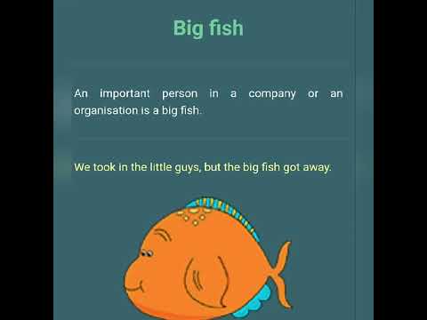 35 Importantl Idioms with English meaning and examples|IDIOMS