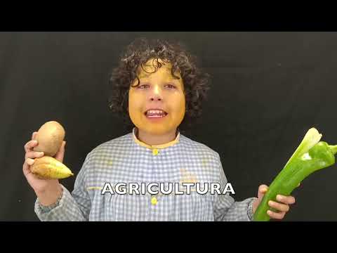 Más alto sí, más claro, no