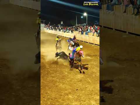 Sábado De Toros Coleados En La Manga Inmaculada Concepción De Camatagua...
