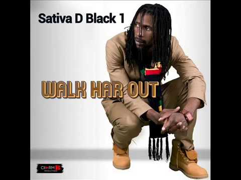 Sativa D Black1 walk har out