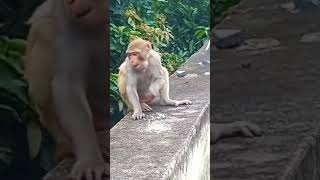 Download lagu #youtubeshorts #ytshorts bokeh full frame asli bokeh full frame asli 1 jam mp3 Download lagu #youtubeshorts #ytshorts bokeh full frame asli bokeh full frame asli 1 jam mp3