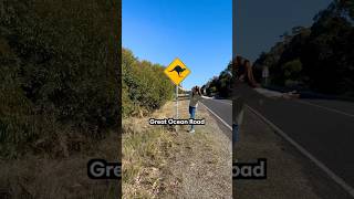 Our favorite stops along the #greatoceanroad #roadtrip #australia #exploreaustralia #travel