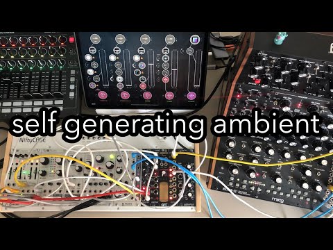 Self Generating Ambient Patch II Stages, Plaits, Beads, DFAM and Mother 32