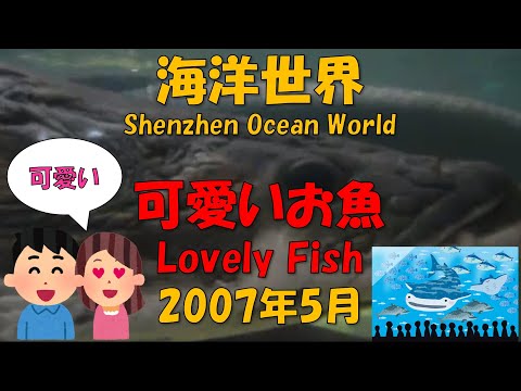 [China Travel] “Peixes adoráveis ​​no mundo oceânico de Shenzhen, província de Guangdong” maio de 2007