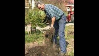 Helge Schneider - Pinguine können nicht fliegen