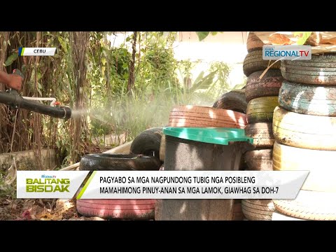Balitang Bisdak: Kapin sa 6,000 ka kaso sa dengue sa Central Visayas, natala sa DOH-7
