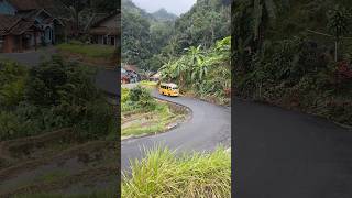 Download lagu Suasana jalan yang indah di pedesaan #youtube #short #village #fyp #viral #pedesaan mp3