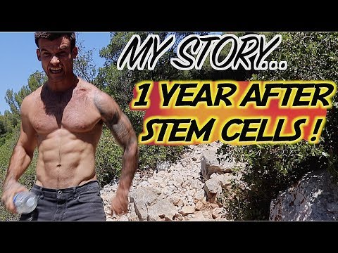 Does Stem Cell therapy Work? | 1 Year Update