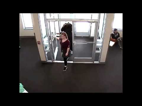 03-18-2018 Retail Theft in Bloomington IL