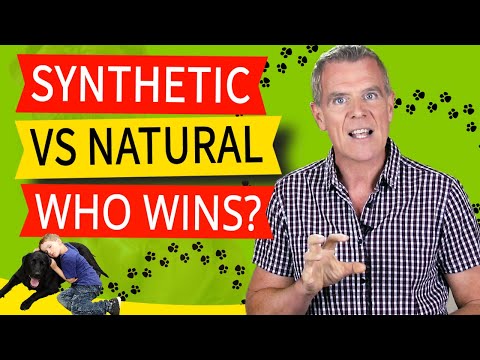 Natural vs Synthetic Vitamins and Minerals in Dog Food (Wake Up Call!)