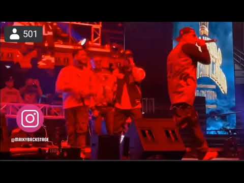 A BIG FIGHT BROKE OUT! BABY RASTA AND GRINGO DISSED MC CEJA AND POLAKAN DURING THE CONCERT 🔥🔥