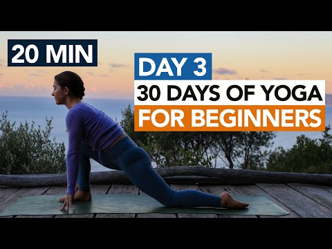 20 Min Morning Beginner Yoga (Day 3) 30 Days of Yoga For Beginners