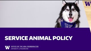 UW's Service Animal Policy