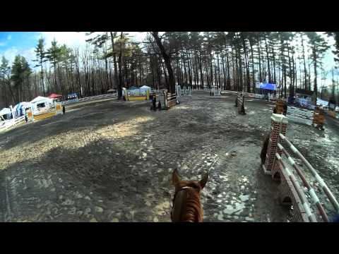 El Greco ridden by Robert Lee wearing a JonesCAM during the 55th Saratoga Springs Horse