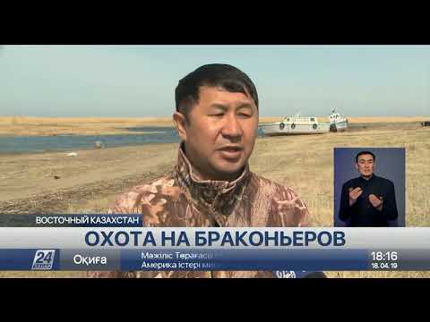 Охота на браконьеров началась в Восточном Казахстане