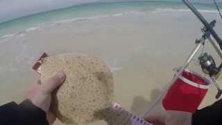 Turbot from Scarista Beach, Isle of Harris