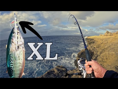 Are BIG JIGS More EFFECTIVE? - Shore Jigging