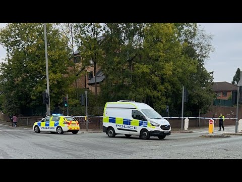 Maddness after the Terror Attack 