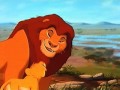 Circle Of Life From The Lion King Picture Slideshow
