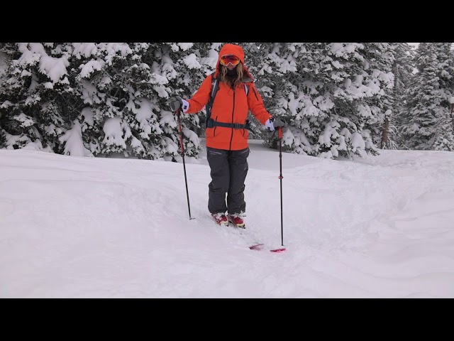 The Teton Shuffle - Lynsey Dyer'S G3 University Ski Tips