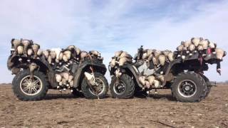 BIG KANSAS OUTDOORS! Book your hunt today! Contact Ben Webster: 1 (620) 200-4372