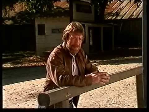 THE ULTIMATE STUNTMAN A Tribute to Dar Robinson