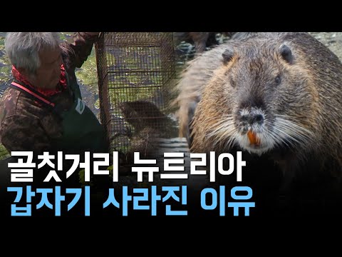 아이콘