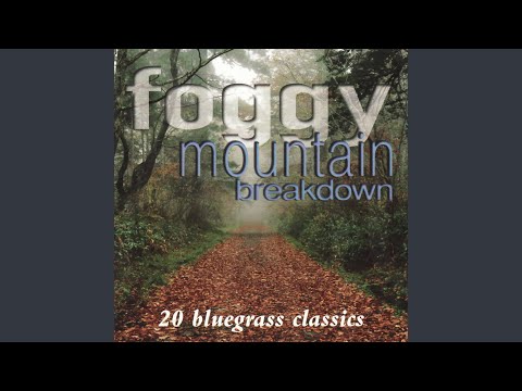 forest path with the words Foggy Mountain Breakdown