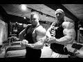 Alexander Westermeier VS ZITRONENQUARK oder BODYBUILDER VS POWERLIFTER