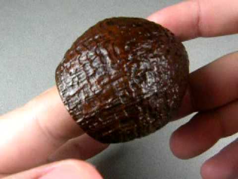 QualityBriar.com / Cornelius Mänz