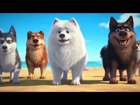 The Ultimate Guide to a Paw-some Pet-Friendly Beach Vacation (Milu's Coastal Itinerary)