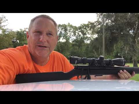 22 Magnum With Suppressor