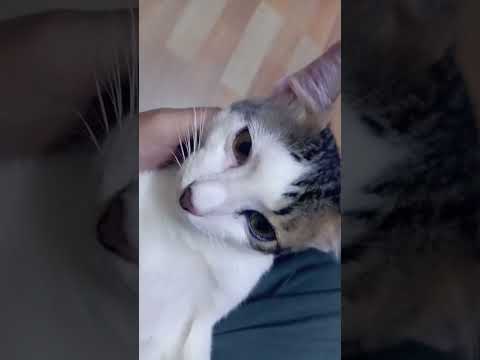 Mubin on his first spotlight, Mubin, Uwiy's first batch son