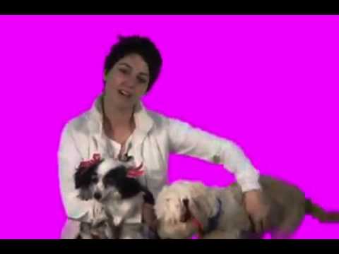 Marcela Fernández escribe en Soy502