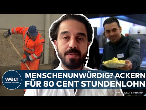 ASYLBEWERBER DEUTSCHLAND: Arbeitspflicht? Saale-Orla-Kreis macht den Vorstoß mit 80 Cent Stundenlohn