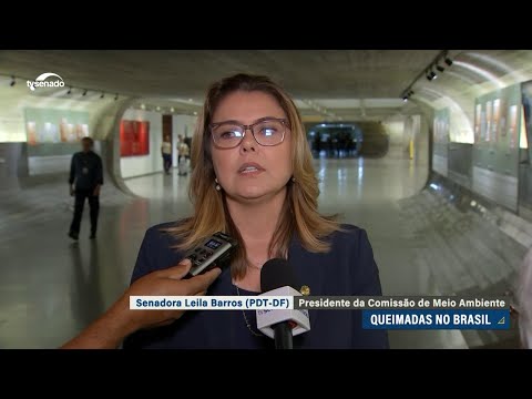 CMA vai debater questão dos incêndios; Leila diz que incêndios atuais são dolosos