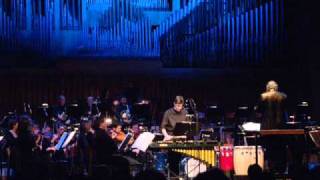 Zagreb Philharmonic Orchestra & HGM Jazz Orchesta & Simun Matisic - Sigurd's Garden (B. Petrovic)