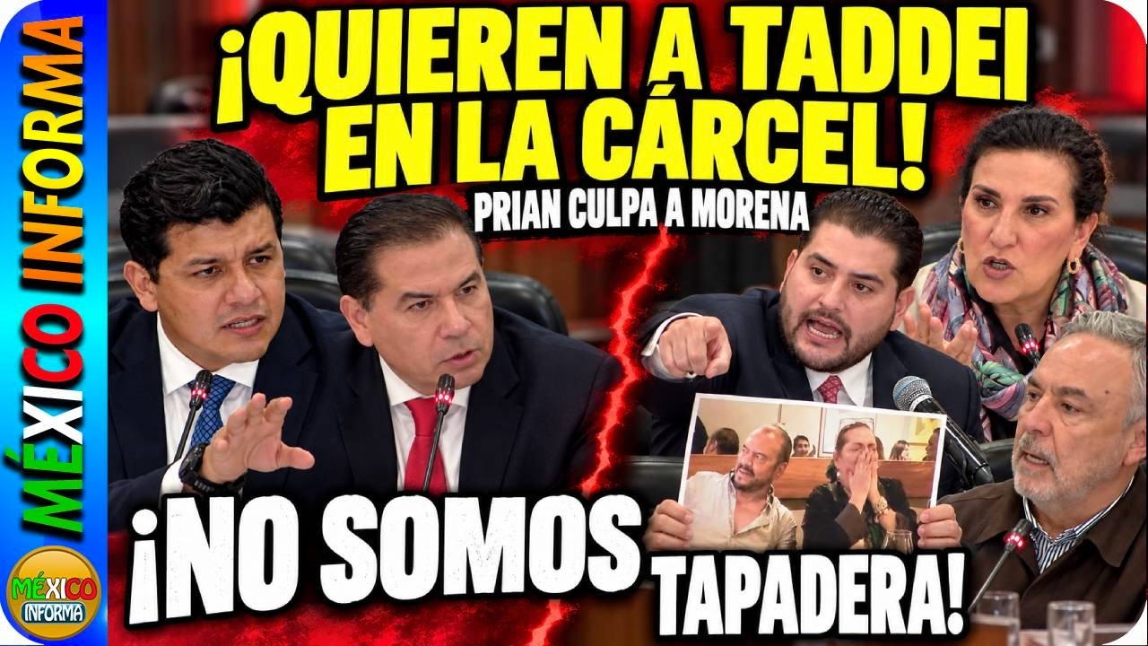 PRIAN CULPAR A MORENA POR LO QUE PASA EN EL INE. DICEN QUE  TADDEI ES DE MORENA:PIDEN CÁRCEL Y FONDO