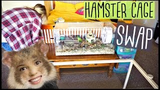 HAMSTER CAGE SWAP | Living World Green Eco Habitat | Pet Room