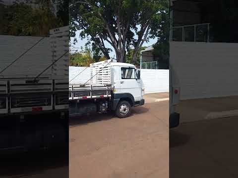 sucupira Tocantins 🇧🇷