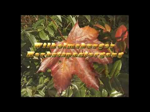  Wilhelmsburger Herbstspaziergang