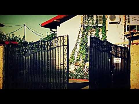 CAMINUL DE BATRANI STEJARUL