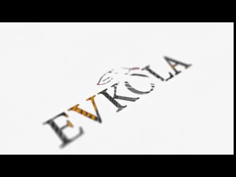 Ausbildung Industriekaufmann Wiso 20 Mitbestimmung im Aufsichtsrat