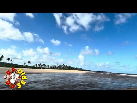 REPÓRTER FAVELA NA PRAIA DA ESPERA NA BAHIA