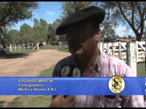 EDGARDO MARTIN - Consignatario - Martin y Alonso SRL - 19/02/2014
