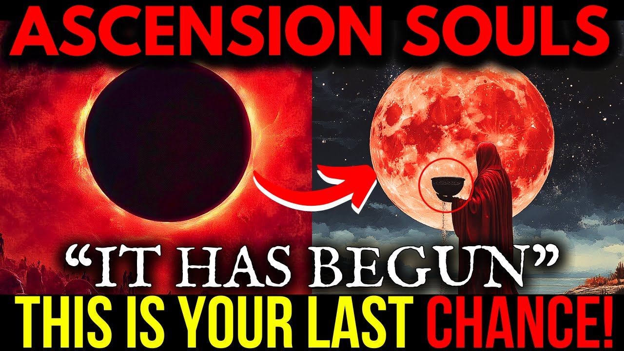 Ascension Souls: You are on the verge of being activated, This is the Final Test