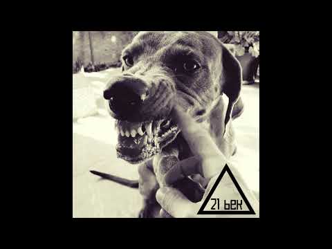 21 vek - Magii temni mi pravis